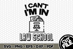 I Can t I m in Law School Embroidery Review